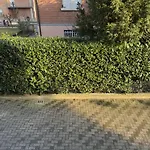 Appartement Modern 90sqm - Ideal Base For Parma & Modena Cavriago