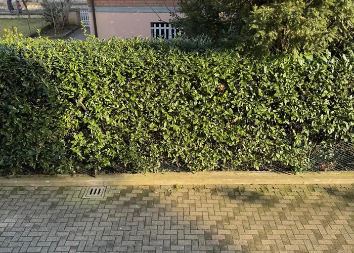 Daire Modern 90sqm - Ideal Base For Parma & Modena Cavriago